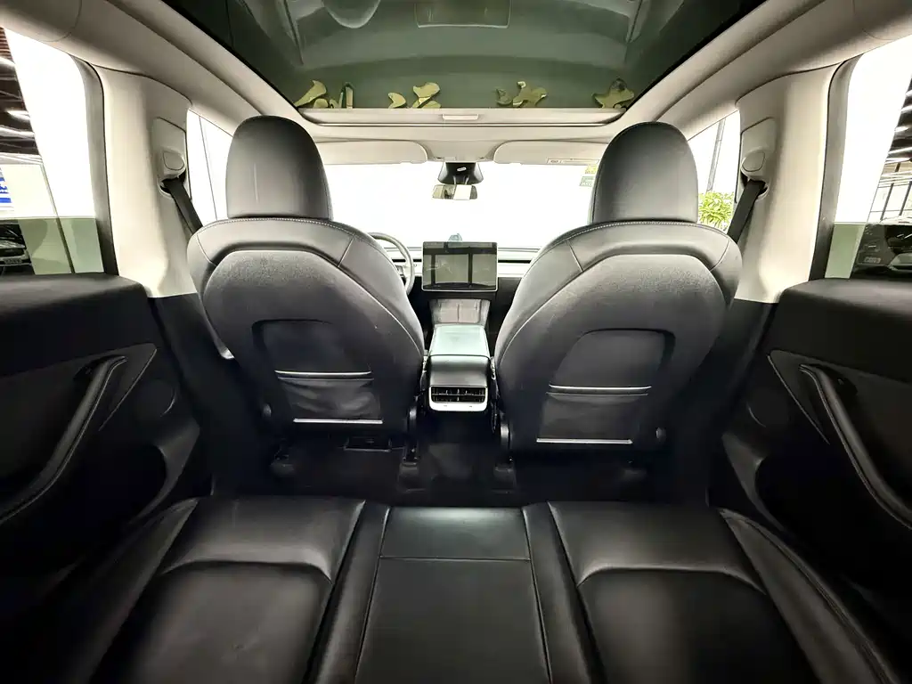 Tesla Model Y — миниатюра 9