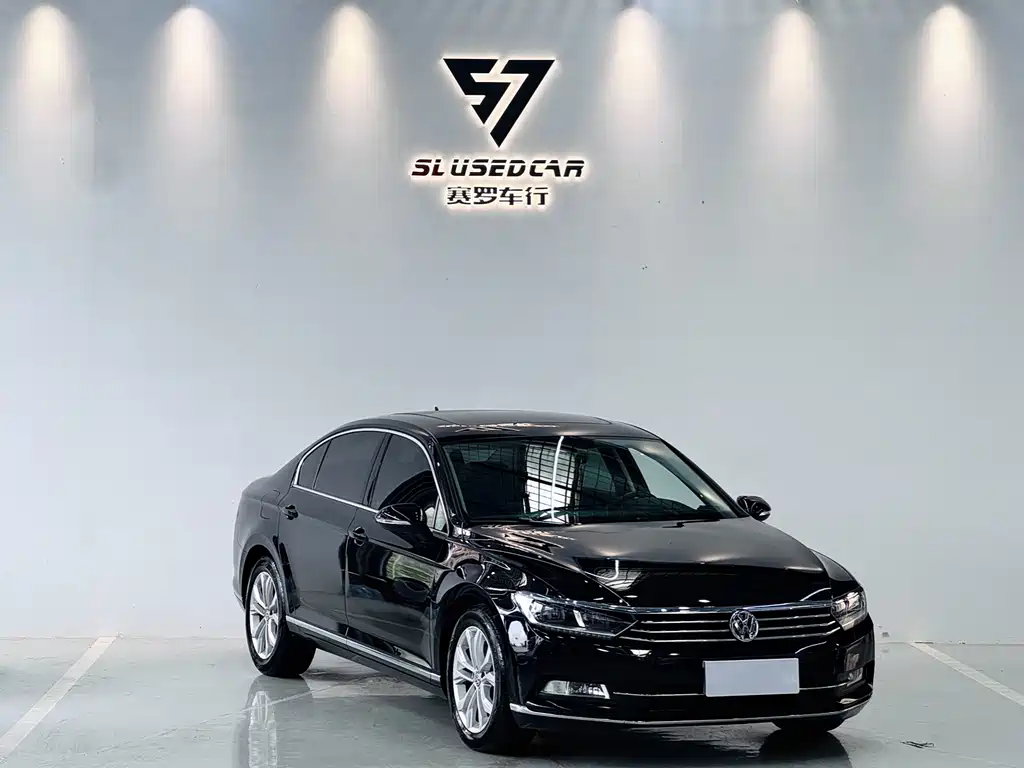 Volkswagen Magotan 2019 330TSI DSG Luxury VI