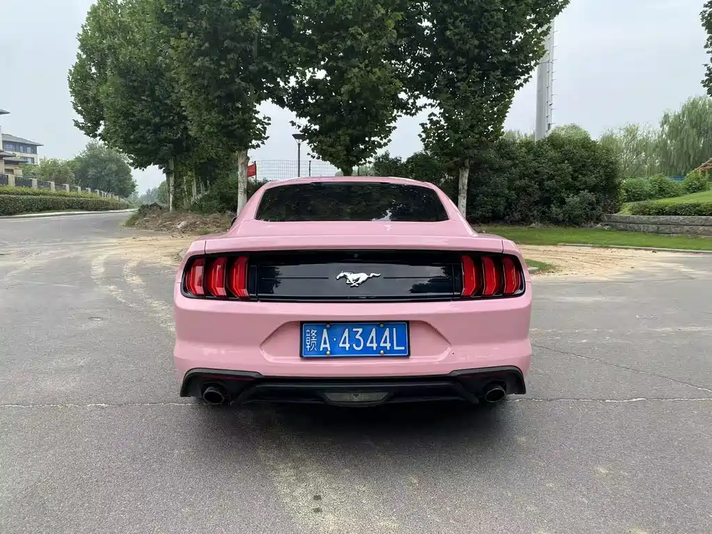 Ford Mustang — миниатюра 6