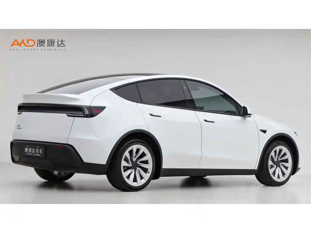 Tesla Model Y — миниатюра 3