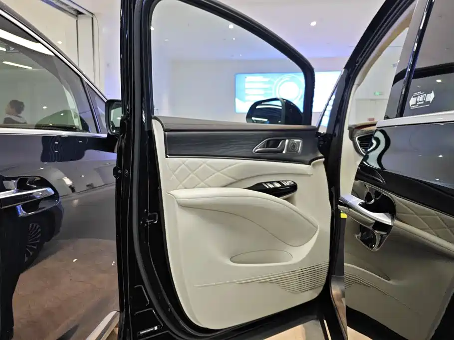 Denza Denza D9 — миниатюра 7