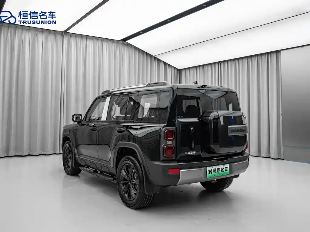 HAVAL RAPTORS NEW ENERGY