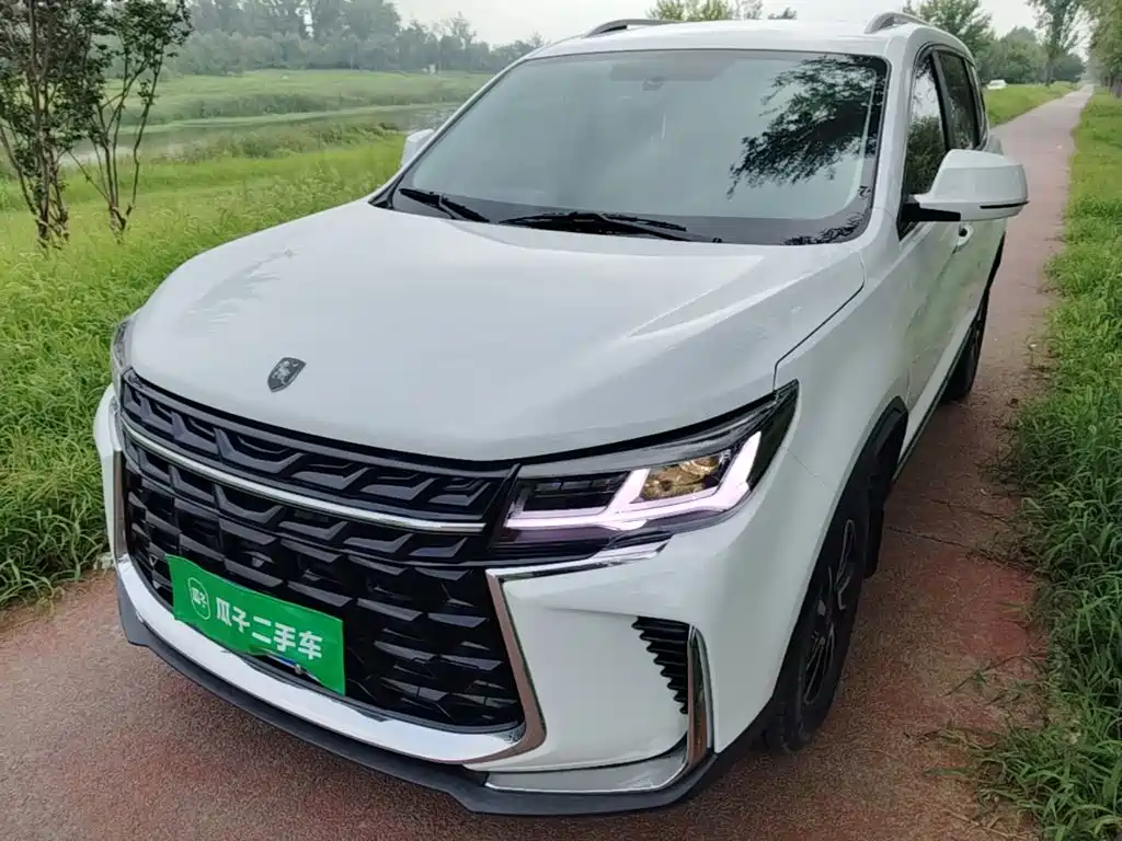 Fengxing Fengxing T5