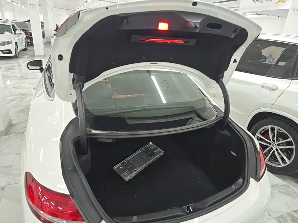 Mercedes-Benz C-Class (Import) — миниатюра 19