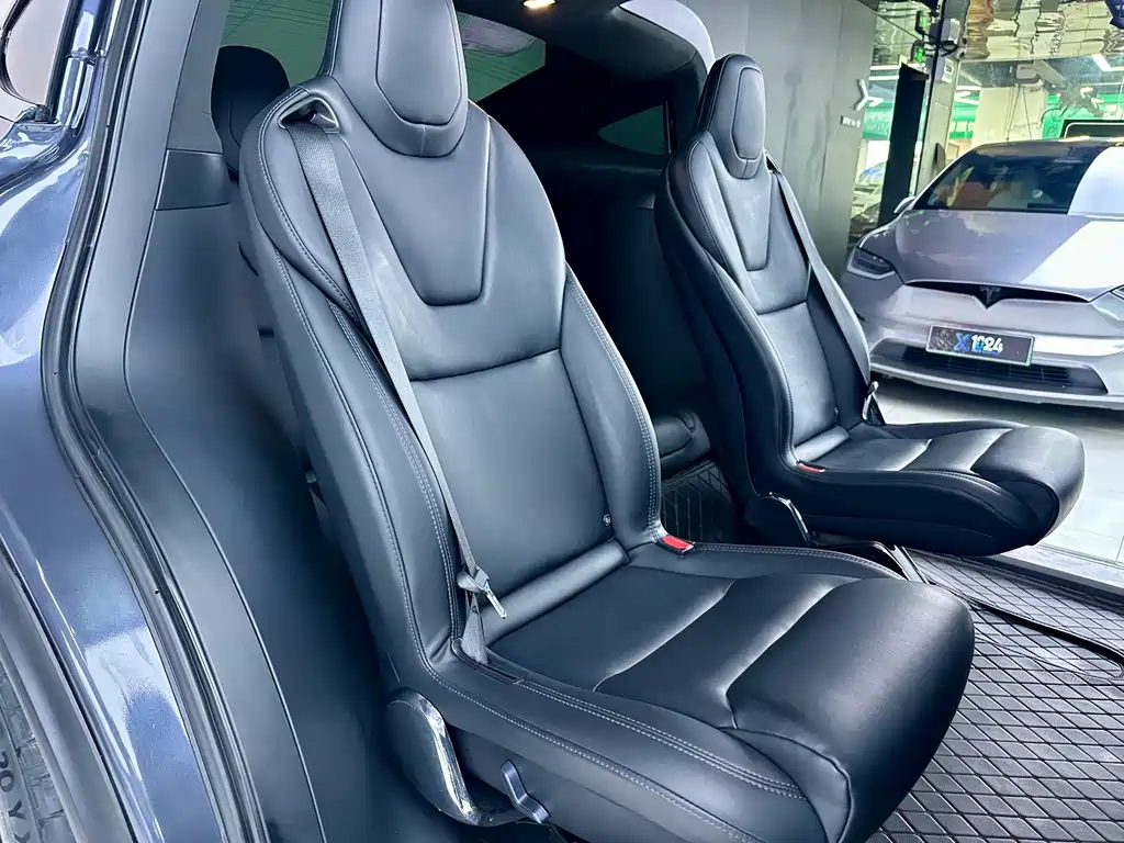 Tesla Model X — миниатюра 7