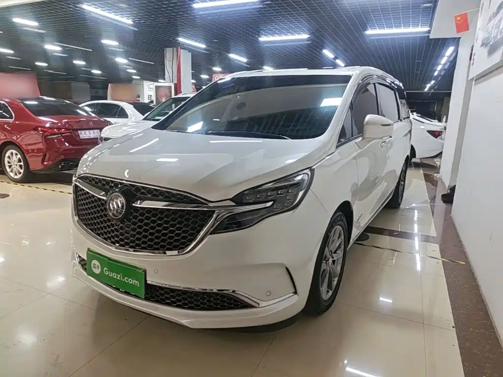 Buick GL8 — миниатюра 2