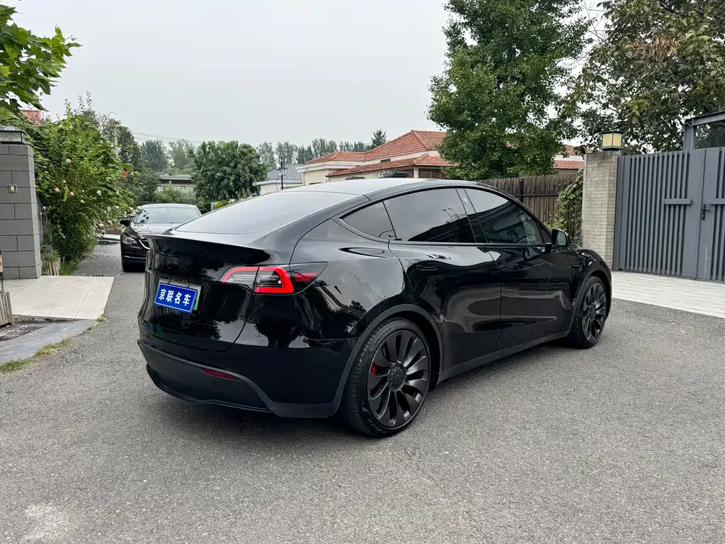 Tesla Model Y — миниатюра 15