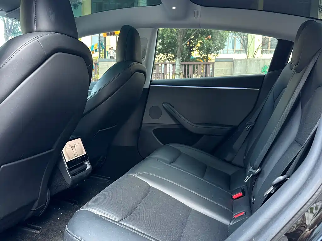 Tesla Model 3 — миниатюра 6