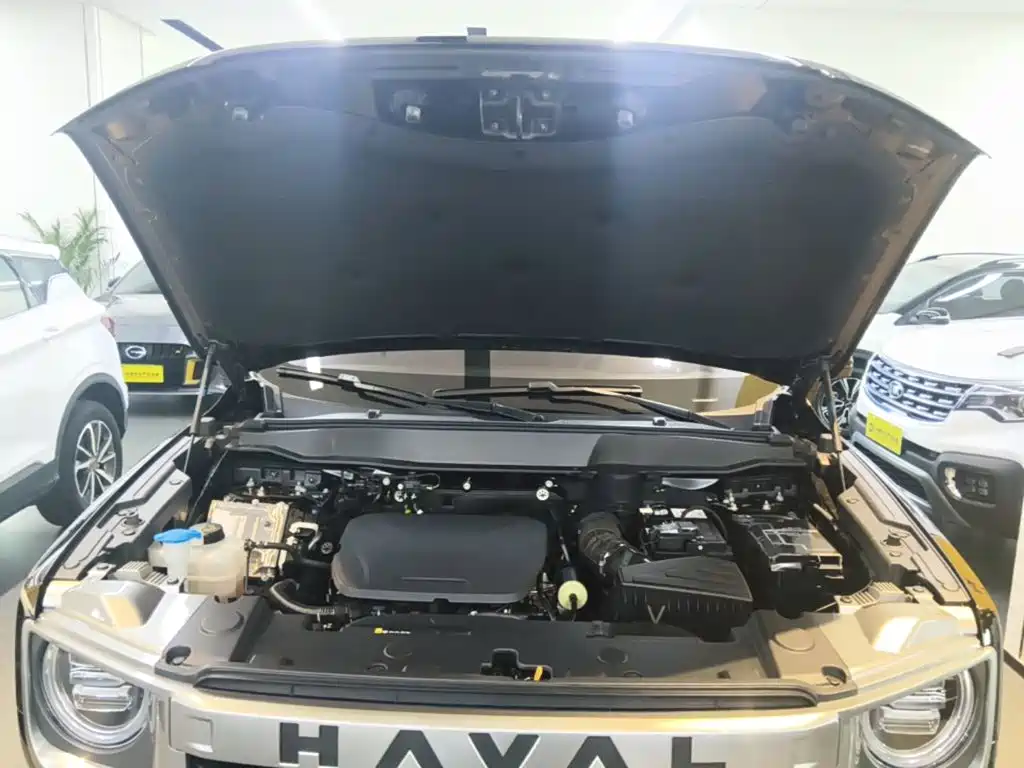 Haval Big Dog — миниатюра 20