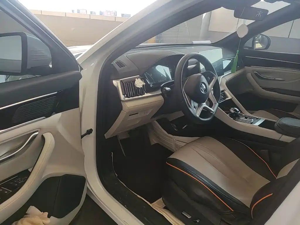 BYD PLUS New Energy — миниатюра 18