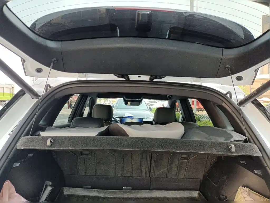 BYD Pro New Energy — миниатюра 15