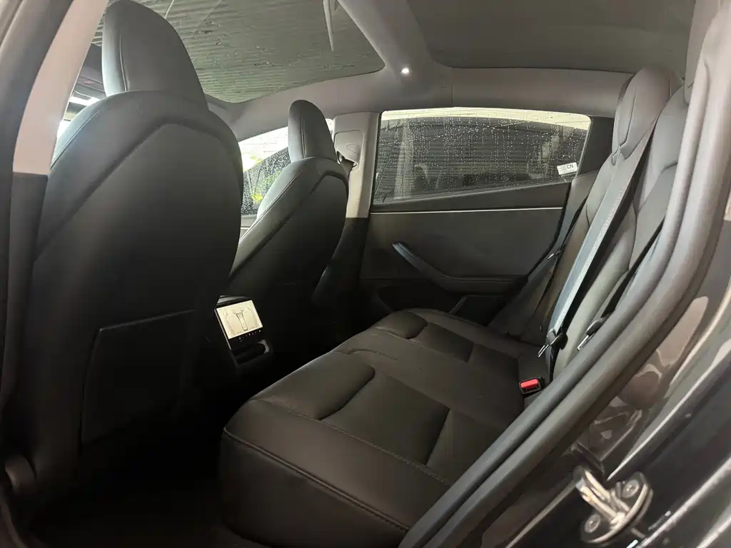 Tesla Model 3 — миниатюра 8