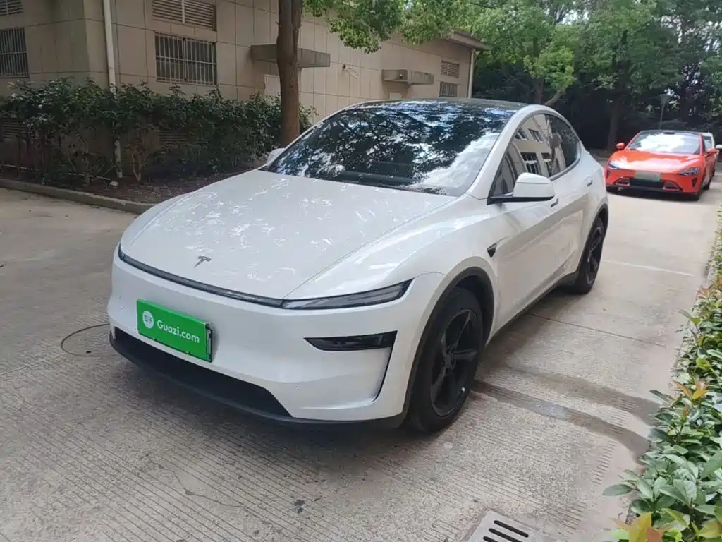 Tesla Model Y — миниатюра 2
