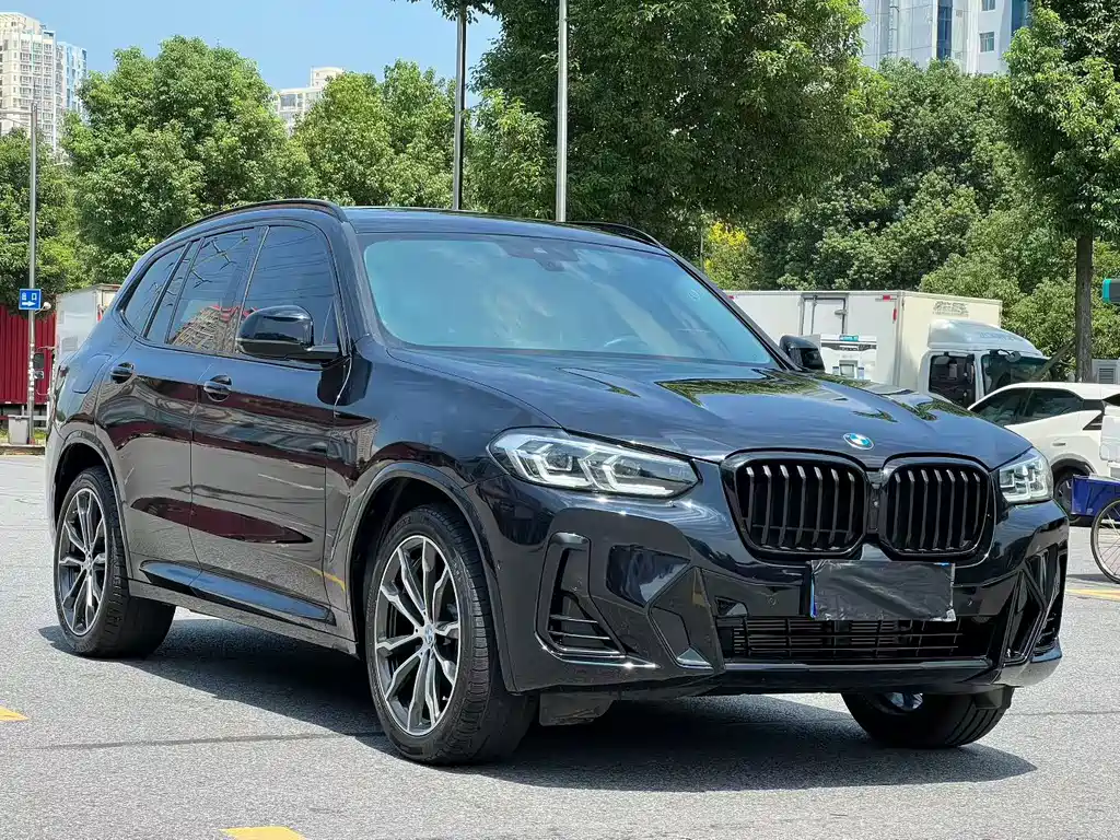 BMW X3 — миниатюра 3