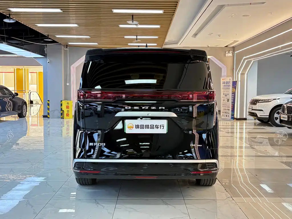 Denza Denza D9 — миниатюра 4
