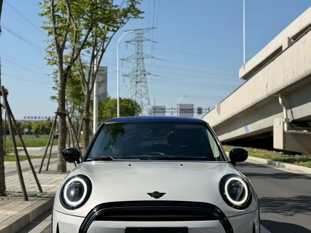 Mini Mini 2022