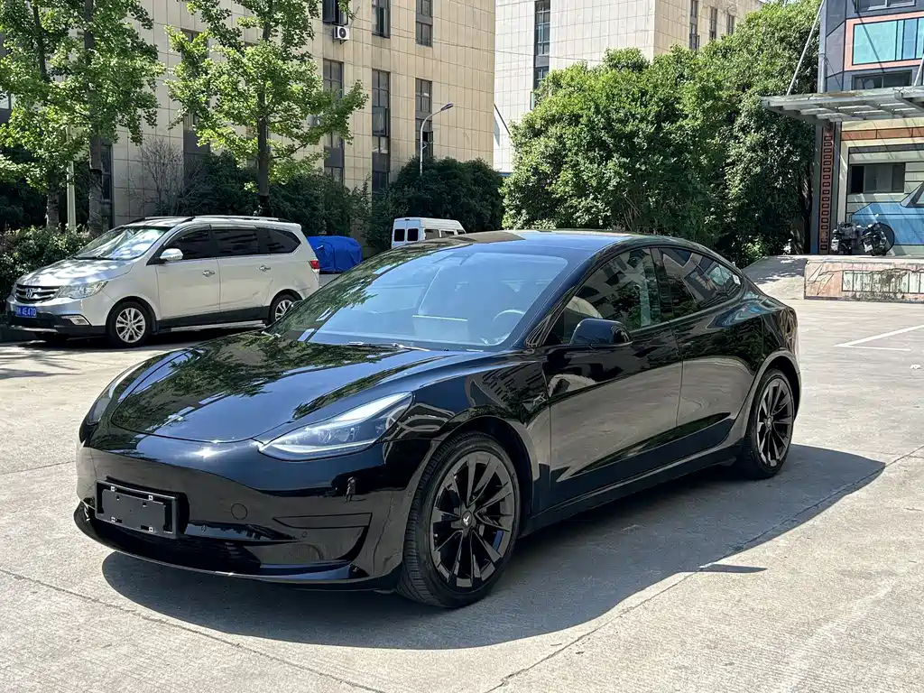 Tesla Model 3 2021