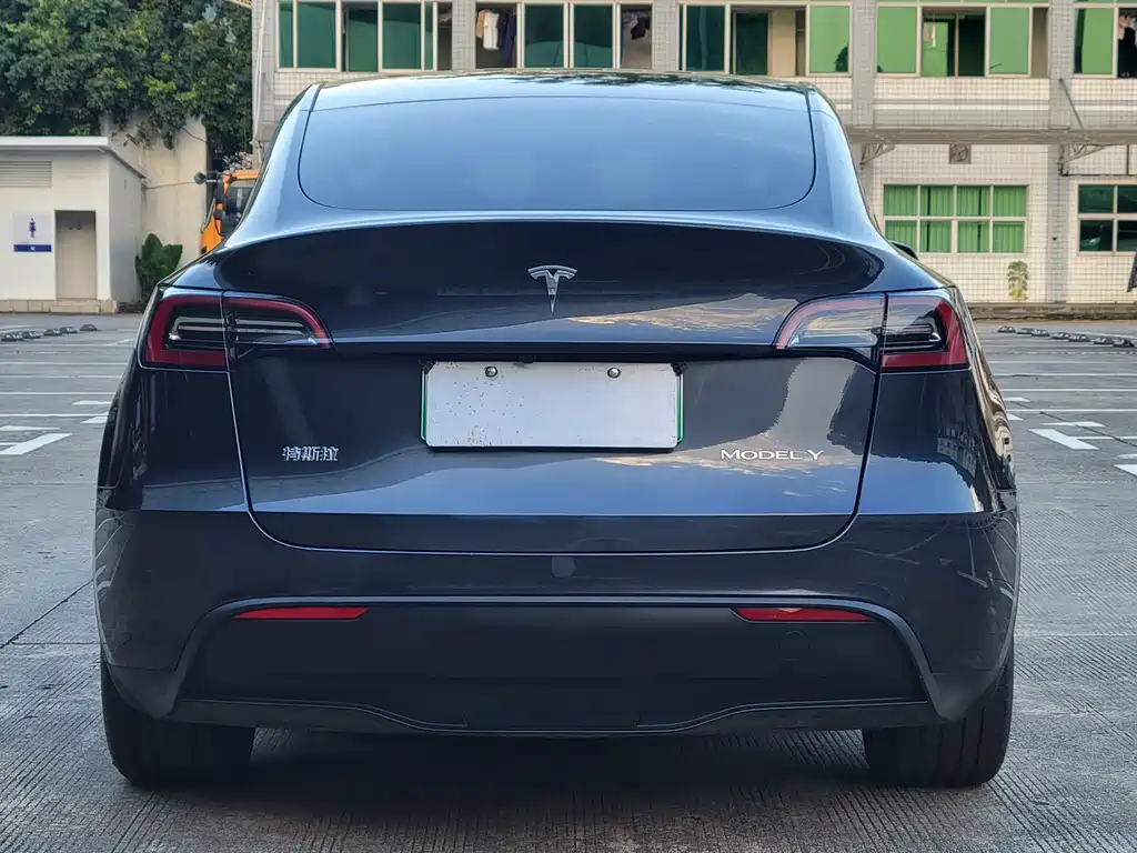 Tesla Model Y — миниатюра 11