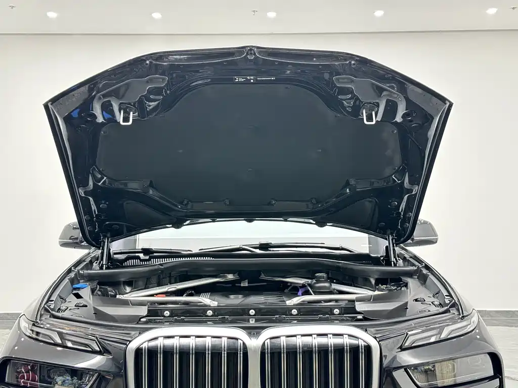 BMW X7 — миниатюра 27