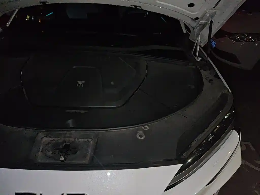 BYD PLUS New Energy — миниатюра 22