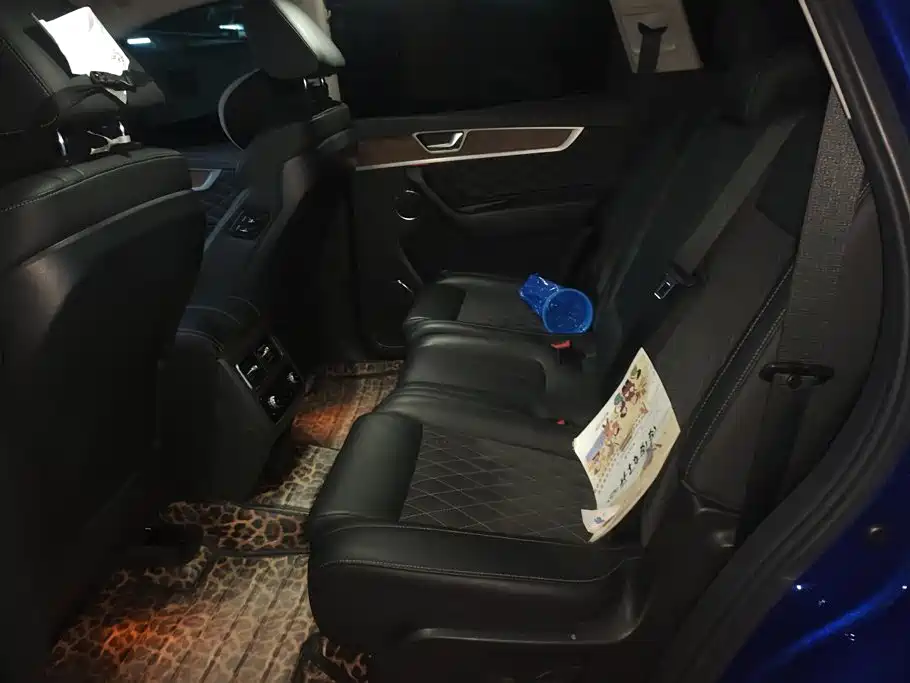 Hongqi Hongqi HS7 — миниатюра 11