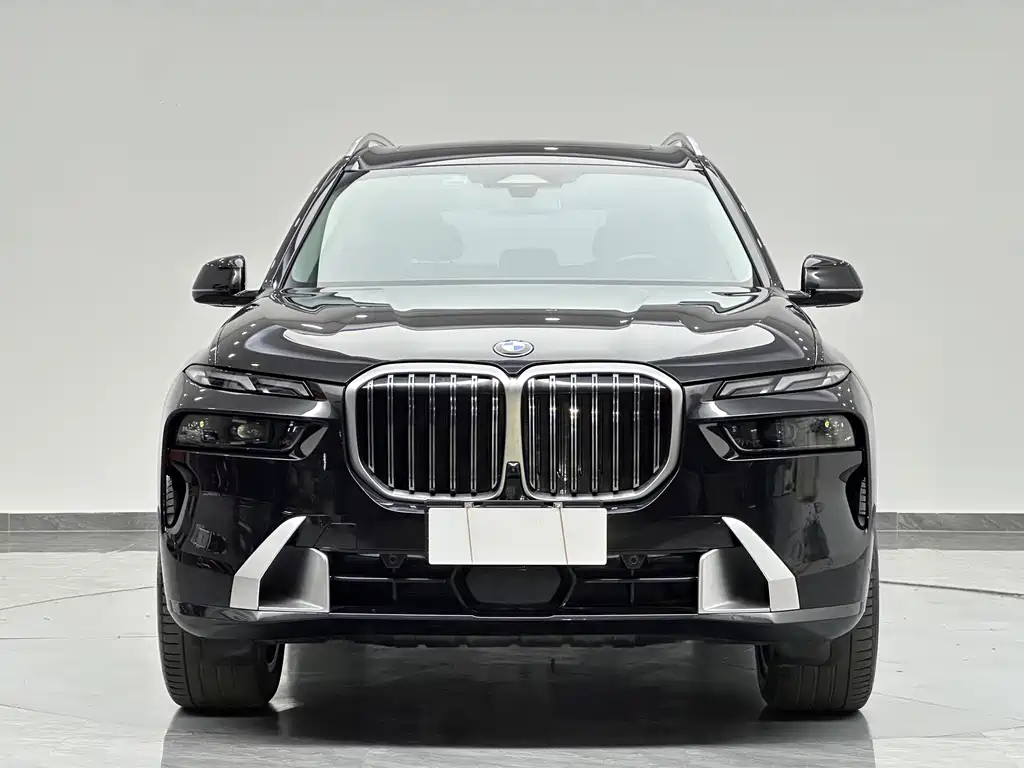 BMW X7 — миниатюра 2