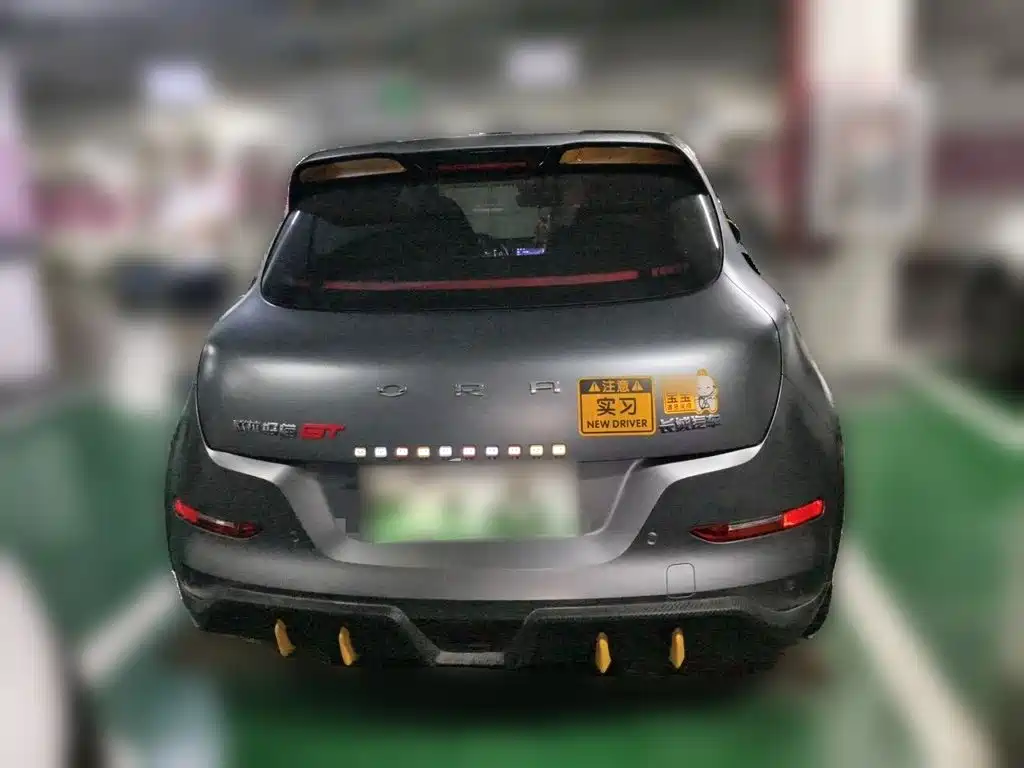 Ora Ora Good Cat GT — миниатюра 3