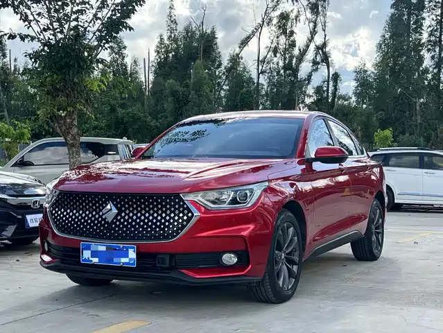 BAOJUN  RC 6 2019