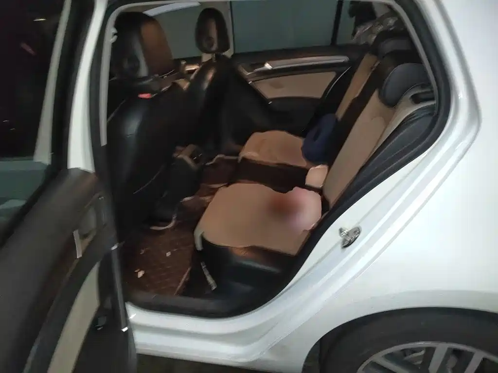 Volkswagen Golf — миниатюра 13
