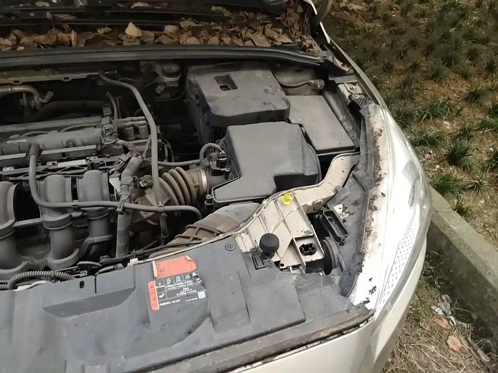 Ford Focus — миниатюра 22