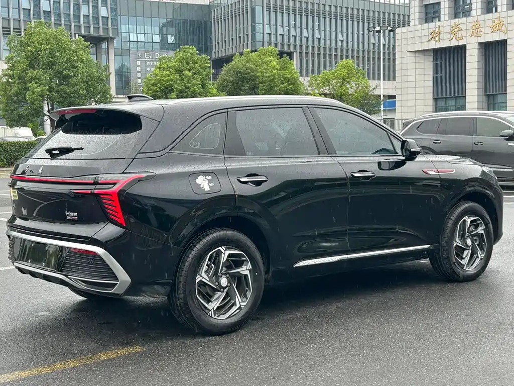 Hongqi Hongqi HS3 — миниатюра 13