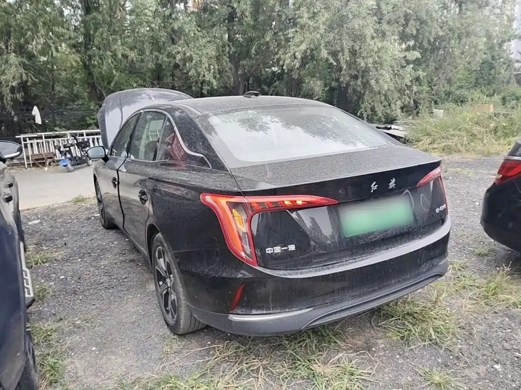 Hongqi Hongqi E-QM5 — миниатюра 5