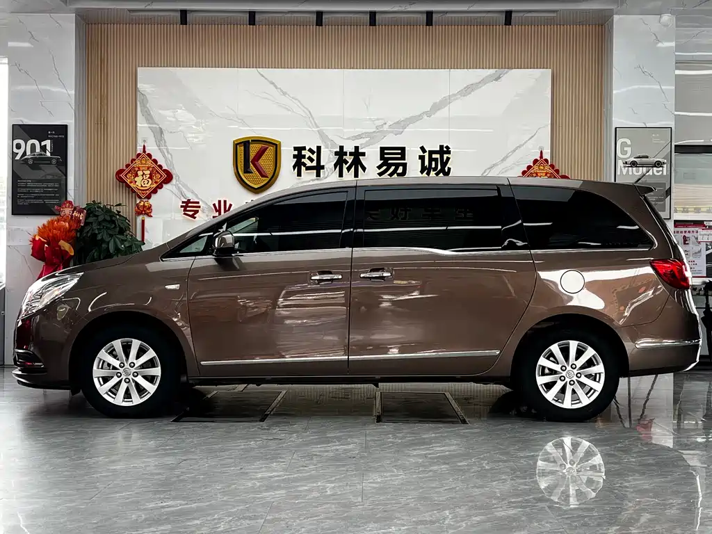 Buick GL8 — миниатюра 7