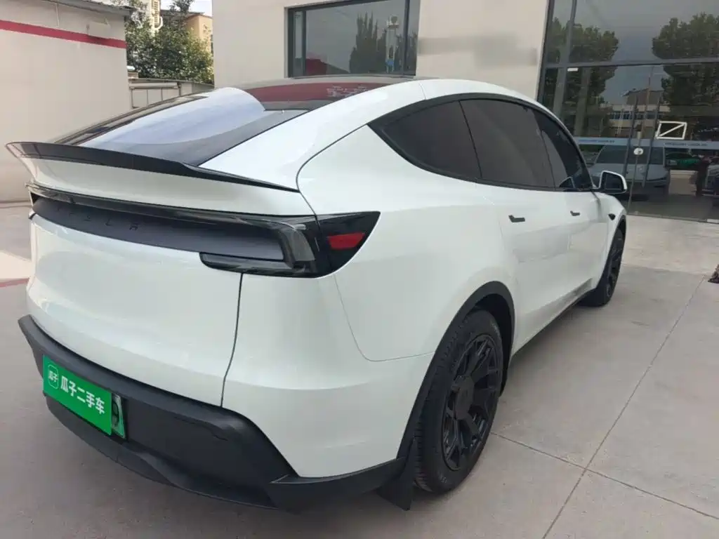 Tesla Model Y L — миниатюра 7