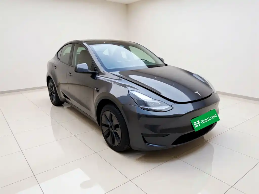 Tesla Model Y — миниатюра 3