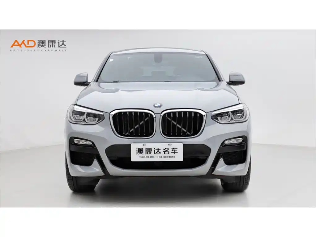 BMW X4 2019 xDrive25i M Sport