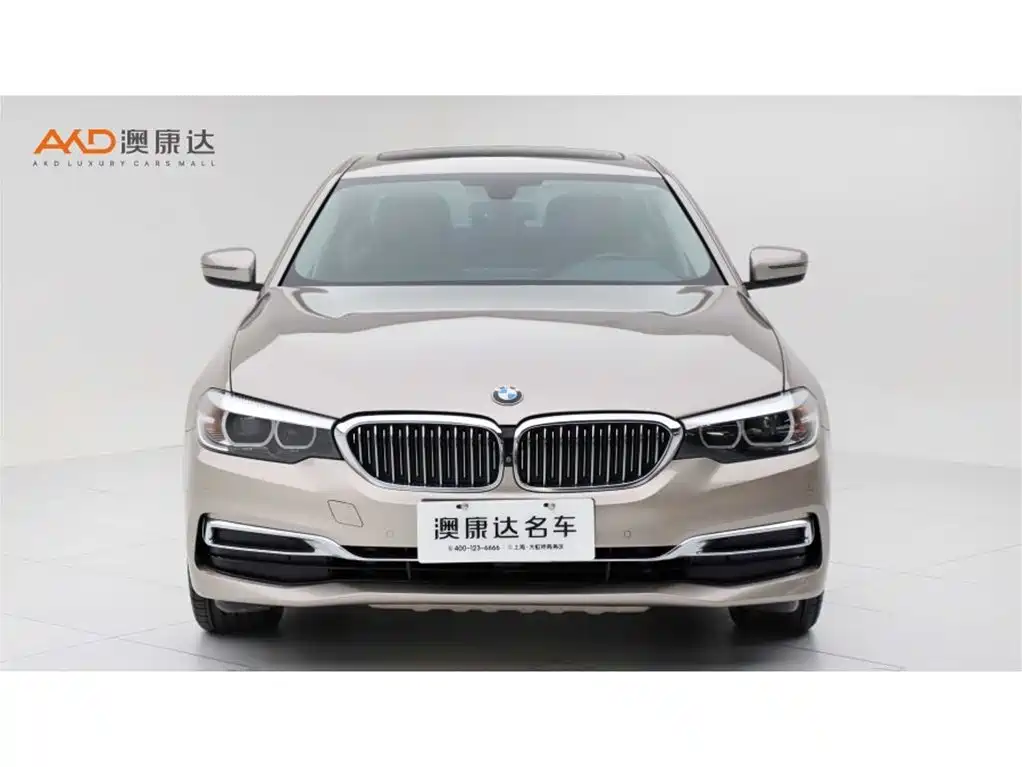 BMW 5 Series 5 2019 530Li Lead Luxury