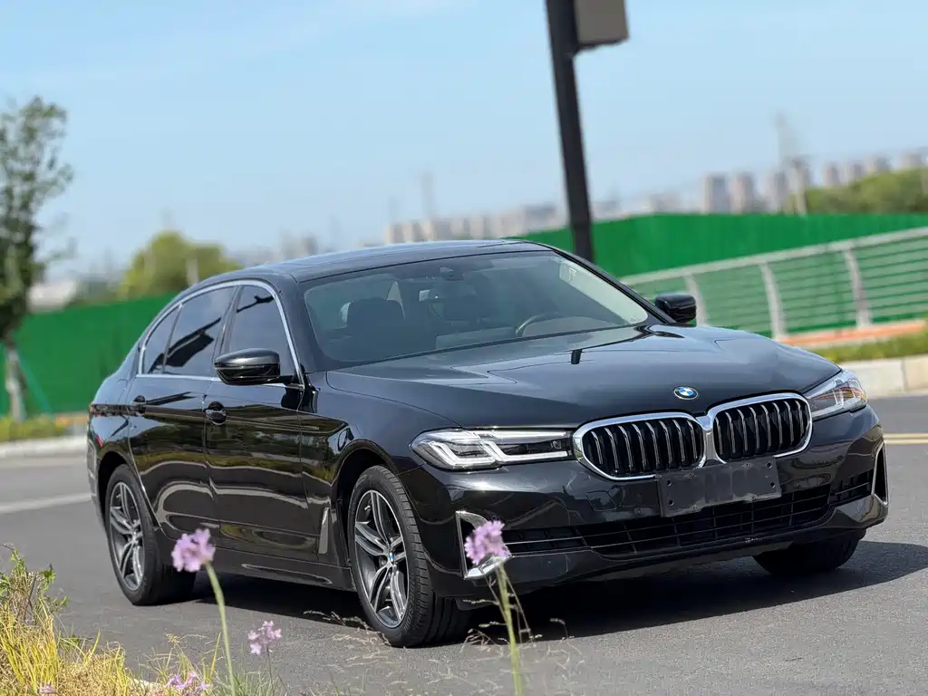 BMW 5 Series 5 2021 530Li Lead Luxury