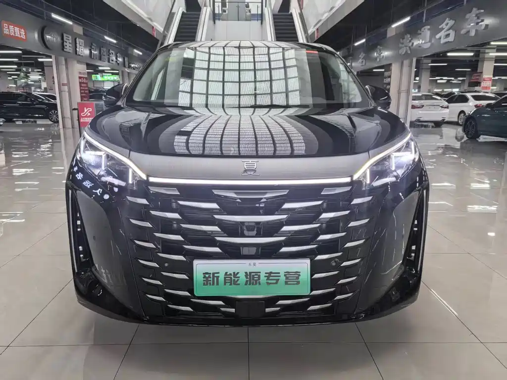 BYD Xia — миниатюра 2