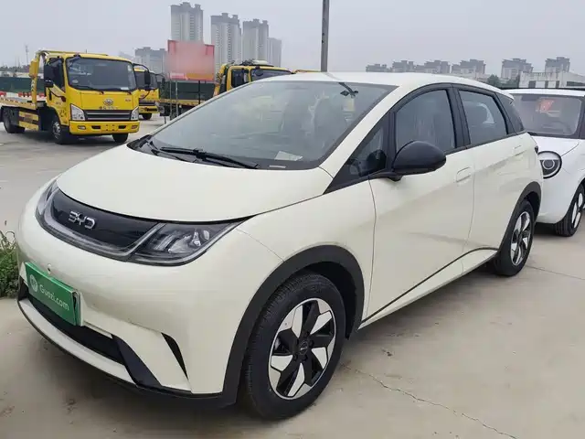 2026 BYD Dolphin