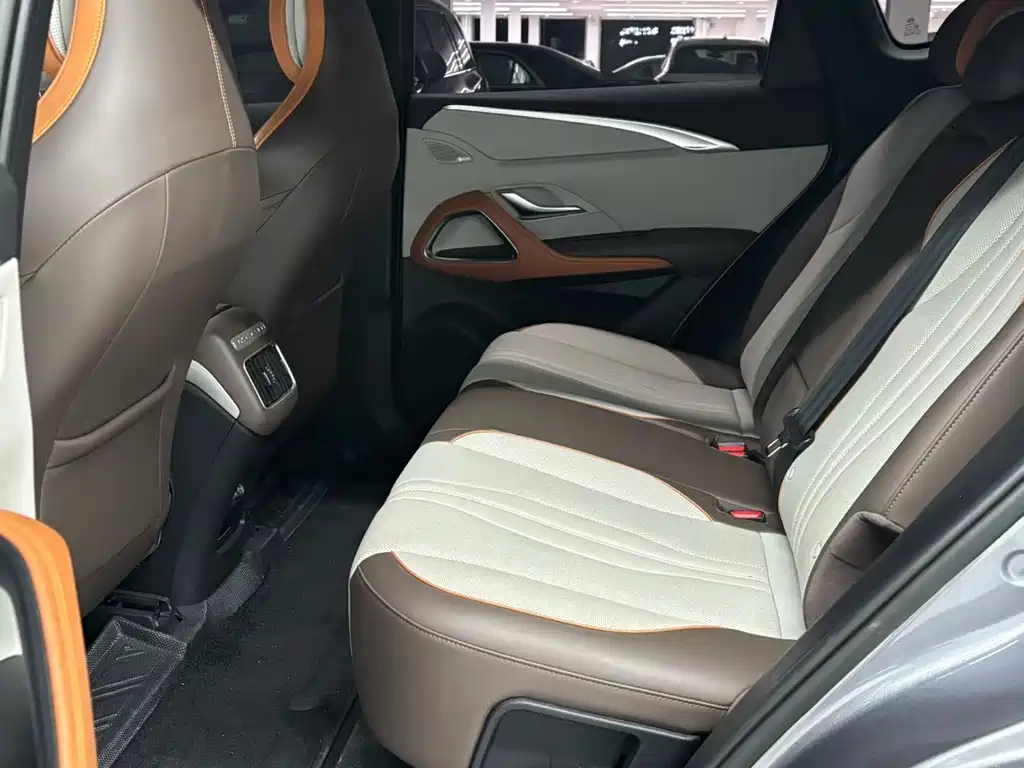 BYD Pro New Energy — миниатюра 6