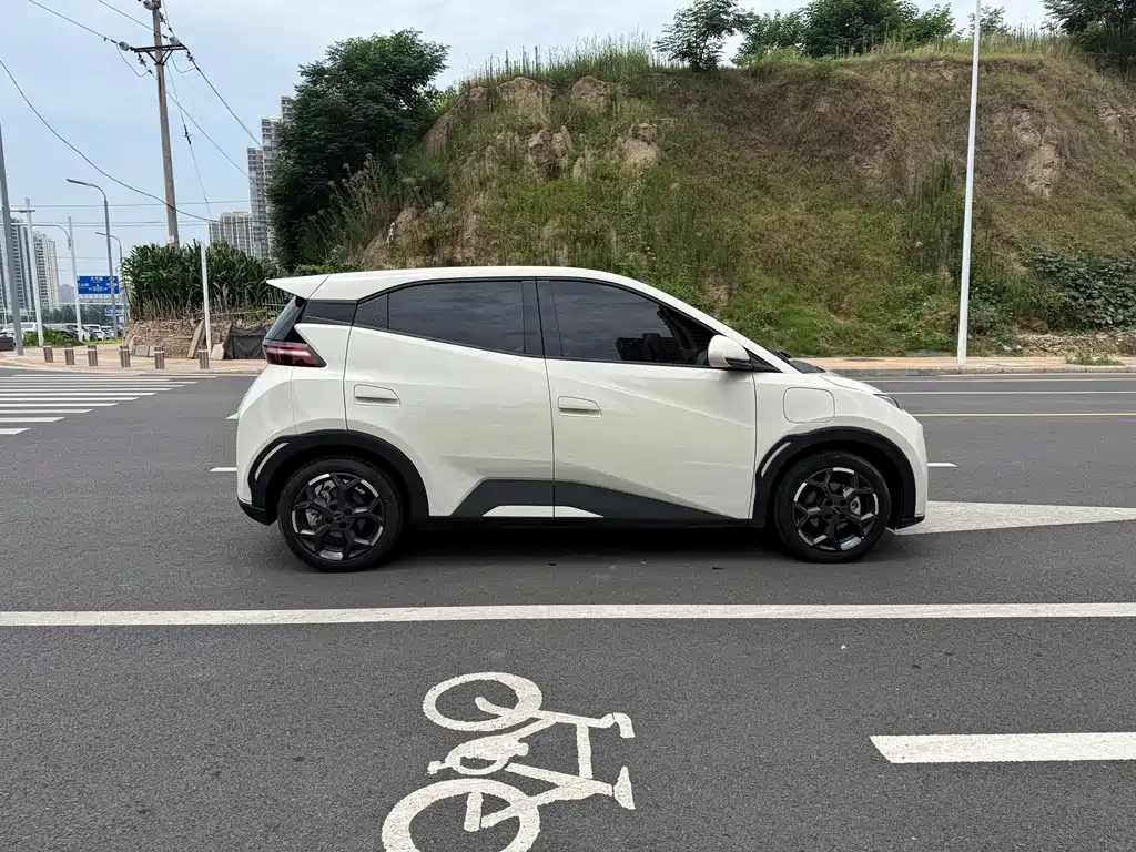 BYD Seagull 2025 305km Freedom