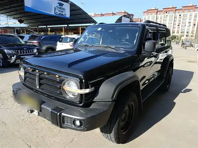 2021 TANK 300