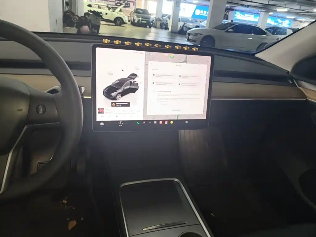 Tesla Model Y — миниатюра 13