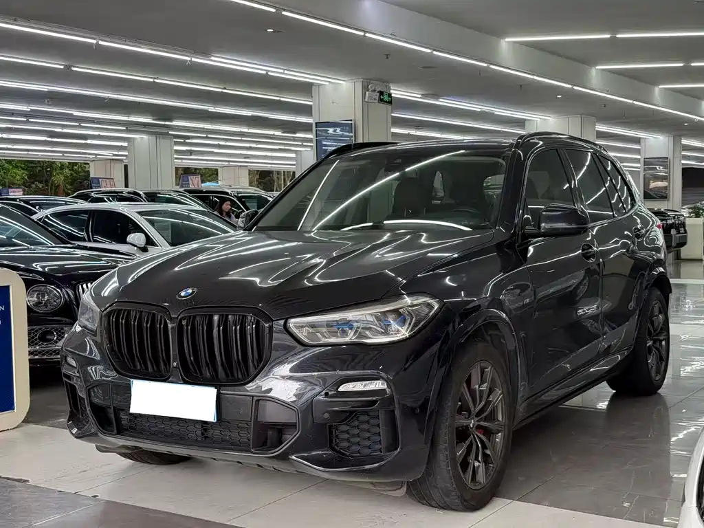 BMW X5 (Import) — миниатюра 2