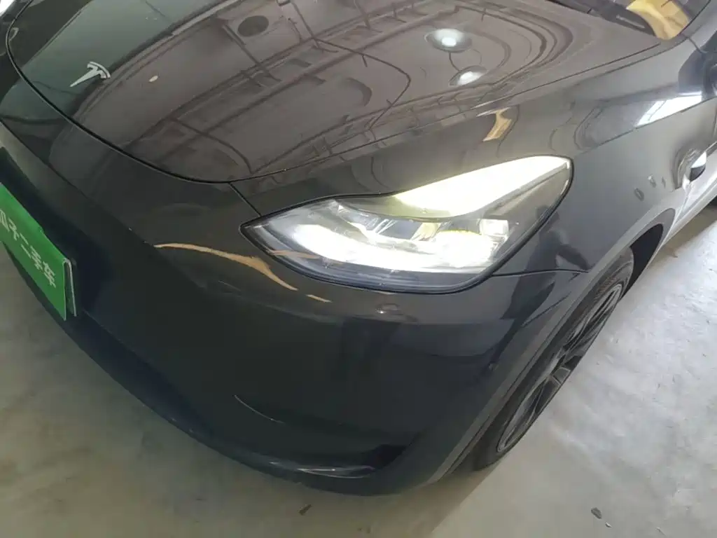 Tesla Model Y — миниатюра 24