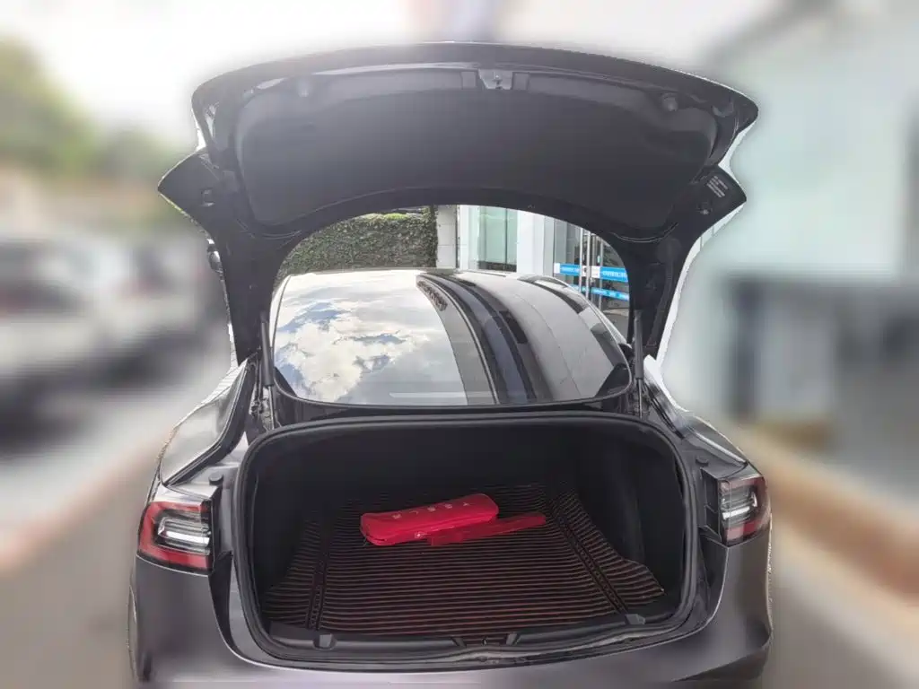 Tesla Model 3 — миниатюра 24