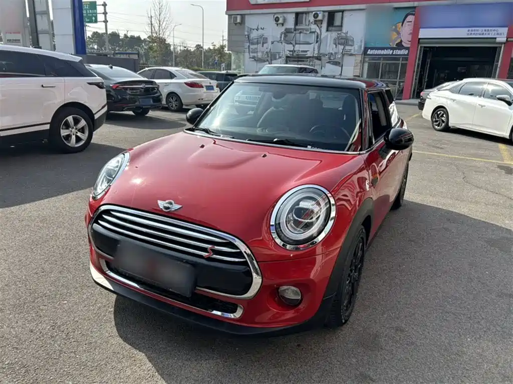 Mini Mini 2015