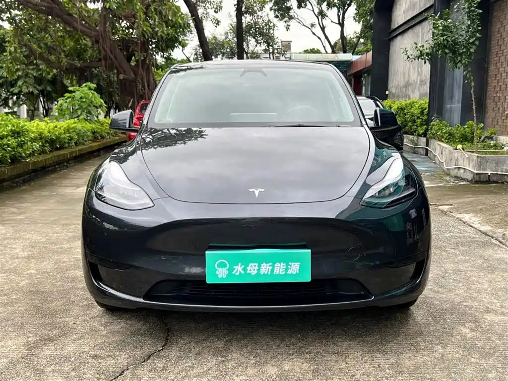 Tesla Model Y — миниатюра 2