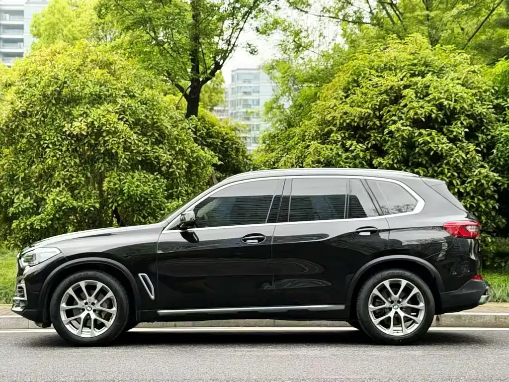 BMW X5 2019 xDrive30i X
